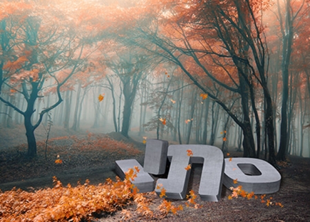 עיצוב גרפי בשילוב תוכנות